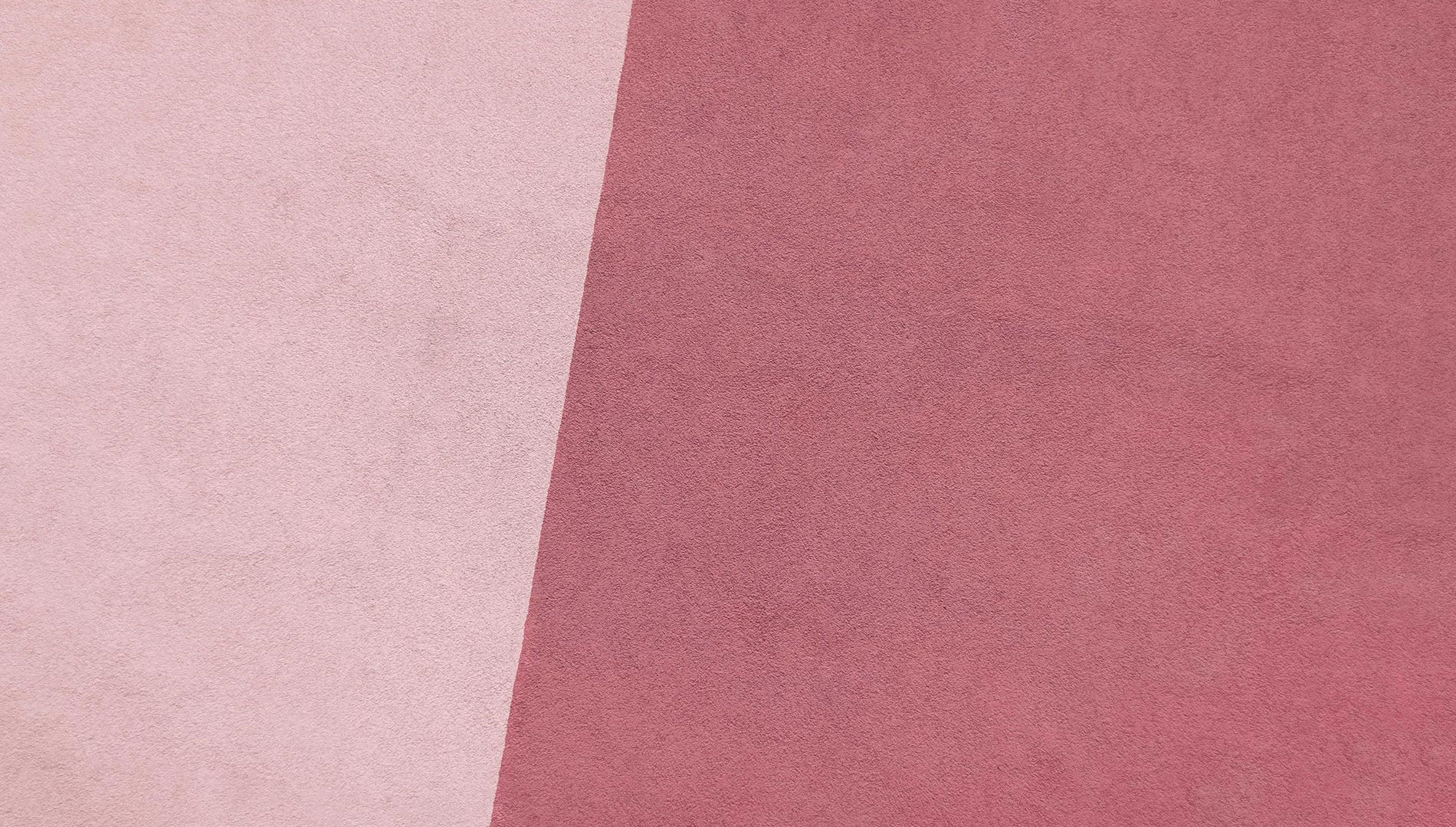 Describe your project