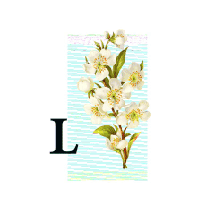 Portfolio Website Launching Soon